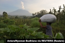 Seorang petani membawa sekantong pupuk saat Gunung Agung mengeluarkan asap dari Desa Sidemen, Karangasem, Bali, 6 Desember 2017. (Foto: Antara/Nyoman Budhiana via REUTERS)