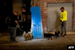 Pemburu tikus dan anjingnya mencari tikus di kawasan Adams Morgan, Washington, DC, 3 Juni 2023. (Stefani Reynolds/AFP)