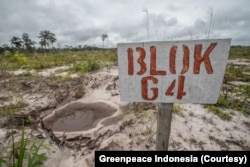 Kondisi terkini lokasi proyek food estate yang dikerjakan Kementerian Pertahanan di Gunung Mas, Kalimantan Tengah. (Foto: Courtesy/Greenpeace Indonesia)