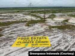 Aktivis Greenpeace, LBH Kalimantan Tengah, Save Our Borneo, dan Walhi Kalimantan Tengah memasang spanduk di lokasi proyek food estate yang dikerjakan Kementerian Pertahanan di Gunung Mas, Kalimantan Tengah. (Foto: Courtesy/Greenpeace Indonesia)