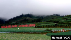 Lansekap kawasan pertanian Nampan, Sukomakmur, Magelang, Jawa Tengah. (Foto: VOA/Nurhadi)