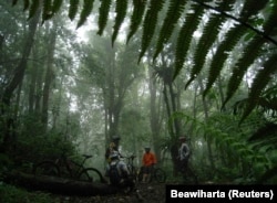 Sekelompok pengendara sepeda beristirahat selama perjalanan mereka di hutan hujan Gunung Burangrang di pinggiran Bandung, Jawa Barat. (Foto: REUTERS/Beawiharta)