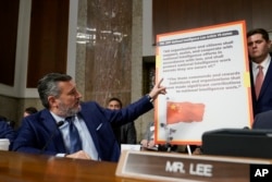 Senator Ted Cruz dari Texas, menunjukkan sebuah poster saat menanyai CEO TikTok Shou Zi Chew dalam sidang yang membahas kesehatan anak Komite Kehakiman Senat AS di Capitol Hill, Washington, Rabu, 31 Januari 2024. (AP/Susan Walsh)