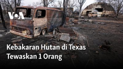 Kebakaran Hutan di Texas Tewaskan 1 Orang